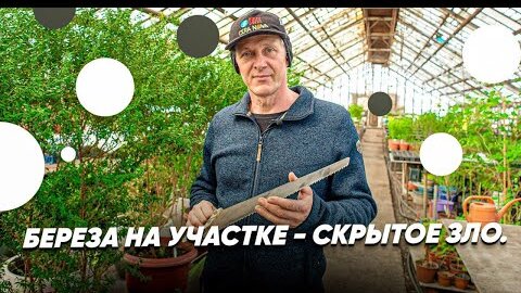 Подсмотренное на даче - видео. Смотреть подсмотренное на даче - порно видео на а-хвостов.рф