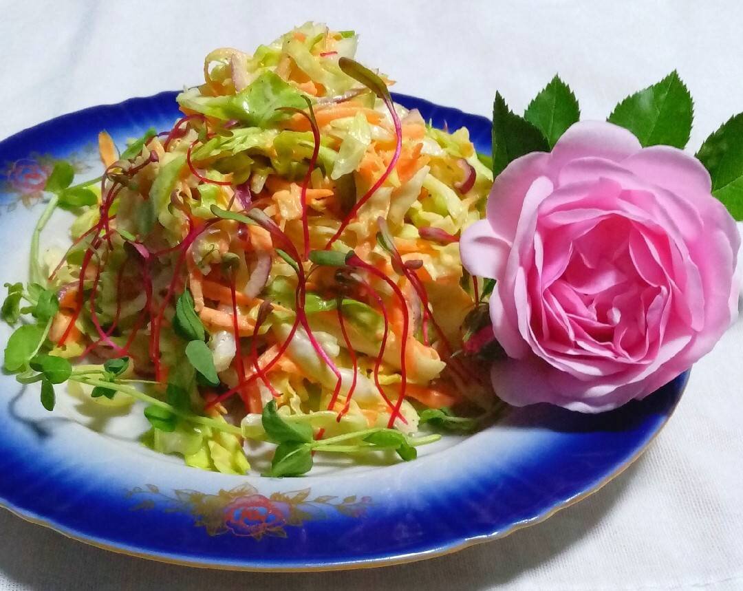 🥗 Салат коул слоу из молодой капусты | Овкусе.ру - Ежедневная готовка в  радость! Пошаговые рецепты с фото | Дзен