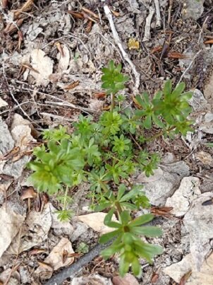 Фотография из личного архива автора