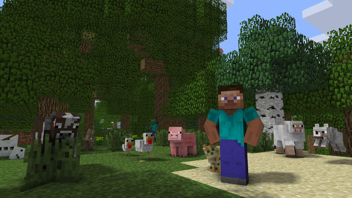  блоков над головой