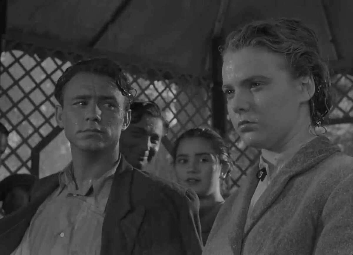 закон улиц 1956