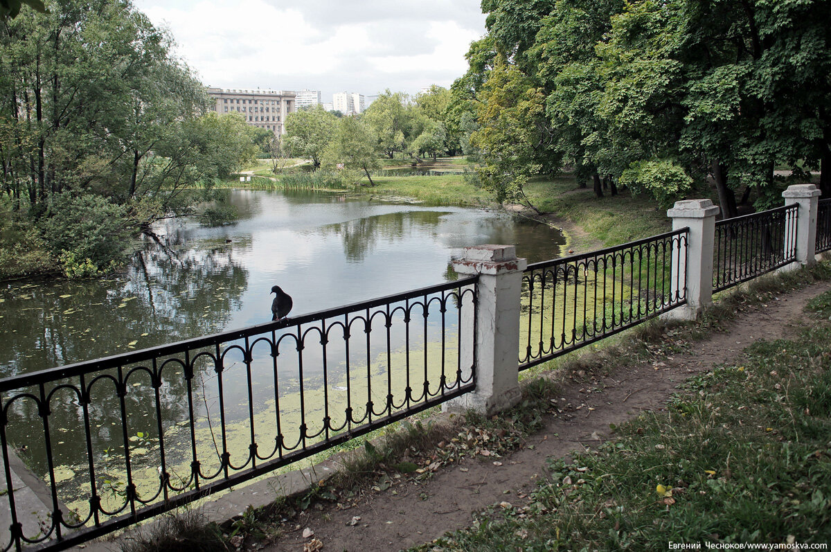 Лефортовский парк в москве