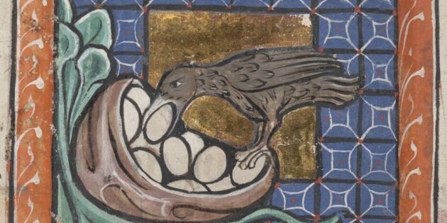 Изображение: Bodleian Library / Oxford University📷
