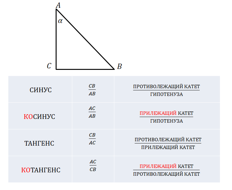 Тригонометрические функции в прямоугольном треугольнике 8 класс