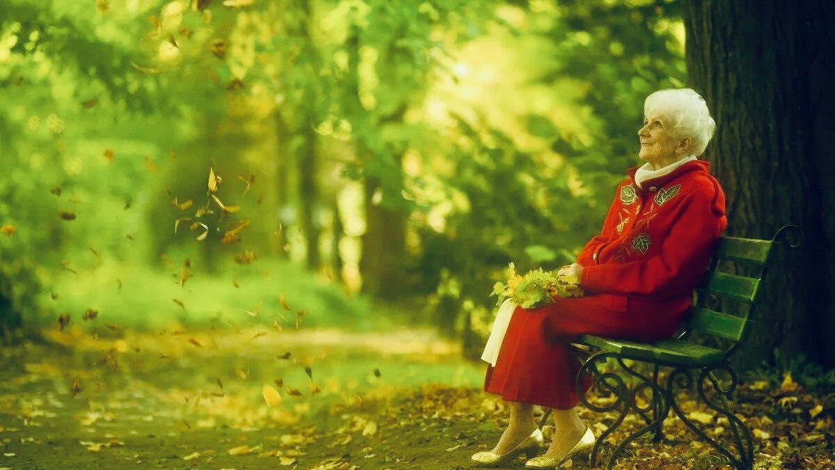 Яндекс Картинки