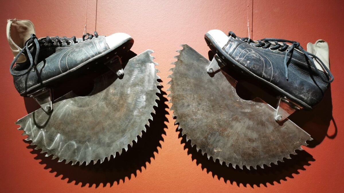 Василий Слонов "Коньки-пилы", фото автора