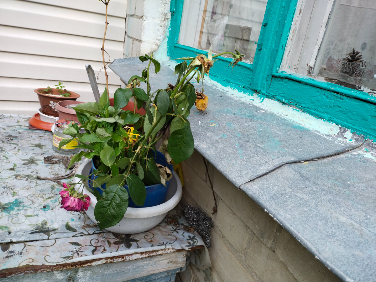 Фото автора канала