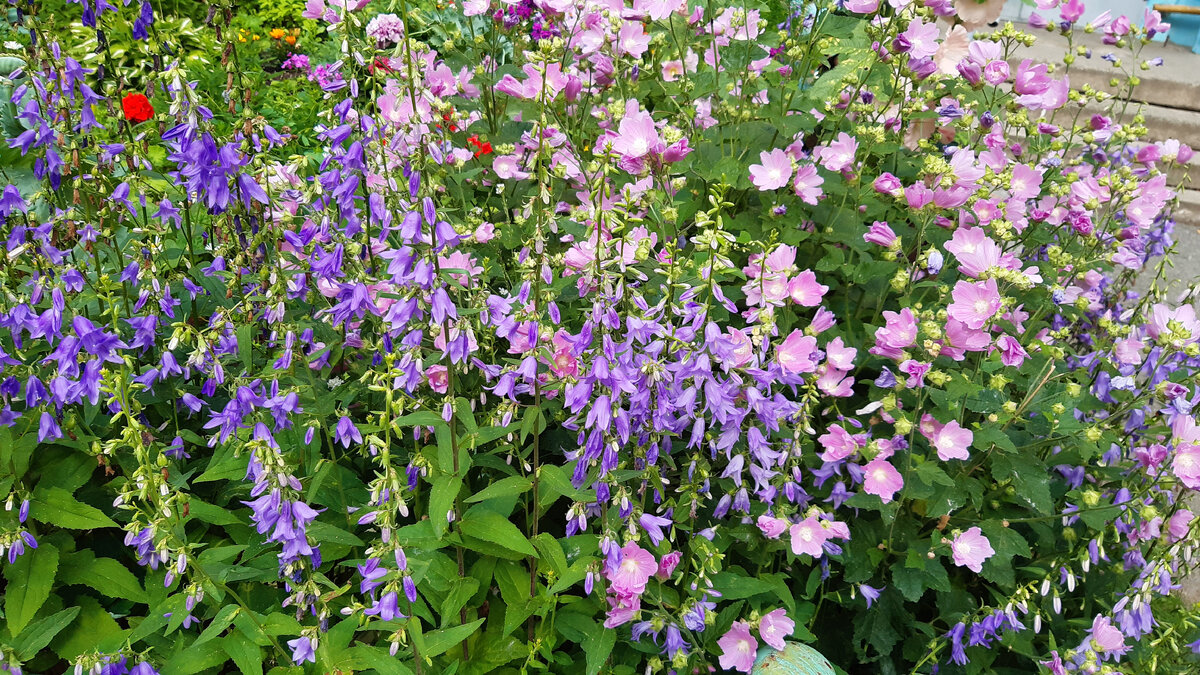 Фото из личного архива