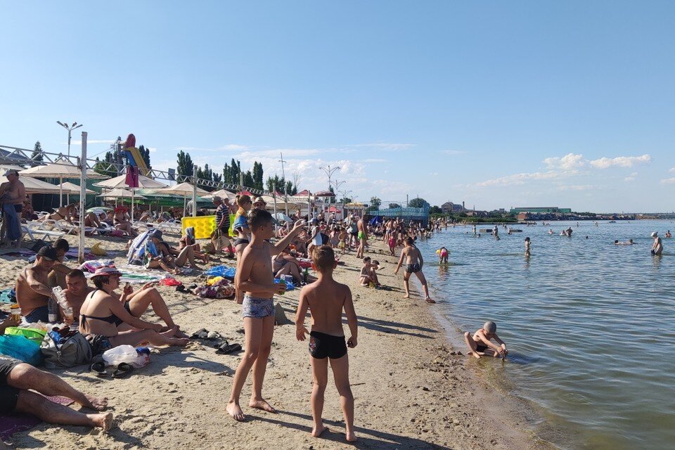     Свое место под солнцем придется еще поискать. Фото: КАКАСЬЕВА Александра