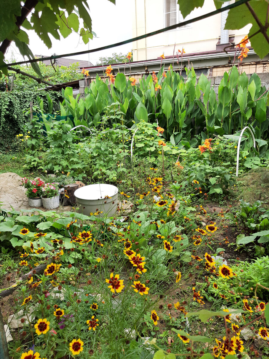 Всё цветёт и пахнет. 