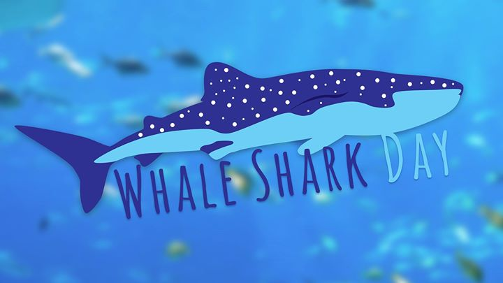International Whale Shark Day. Автор: georgiaaquarium.org