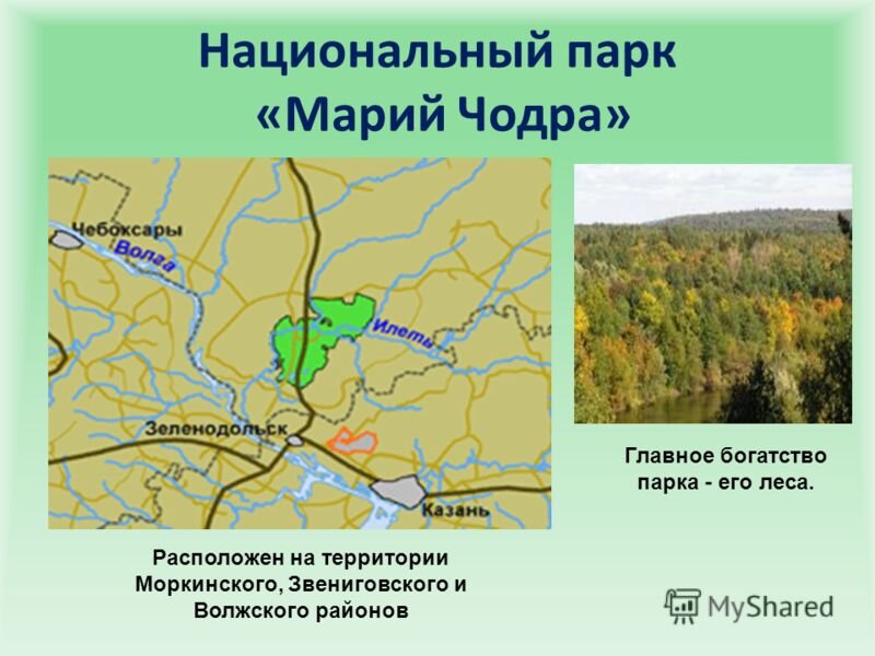 Национальный парк марий чодра