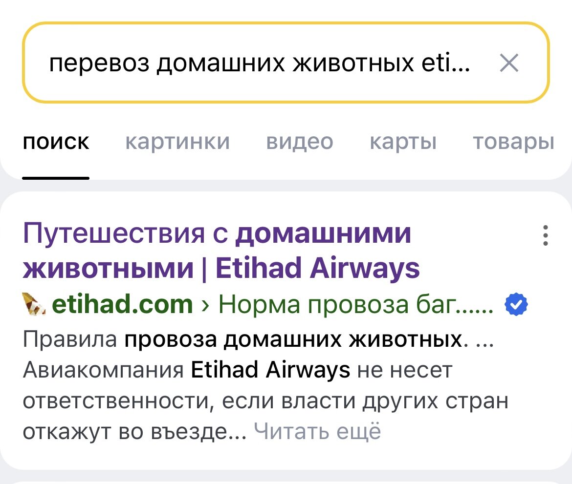 Etihad Airways 