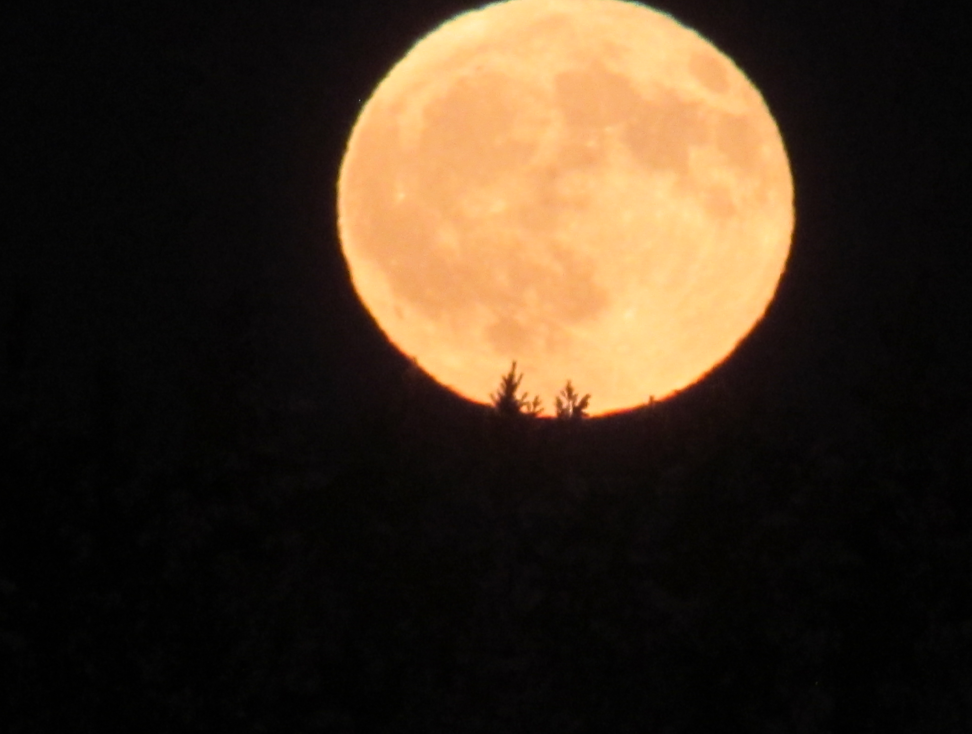 Вселенское солнце. Строение солнца атмосфера солнца. Полоса солнечного затмения. Подсказки солнца. Частое солнечное затмение.
