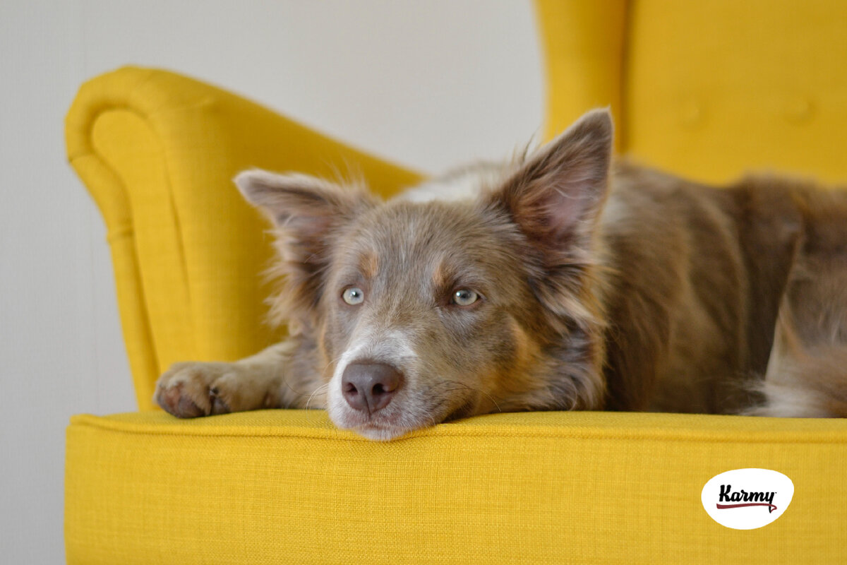 Авторское изображение с использованием картинки с фотостока "Unsplash" 