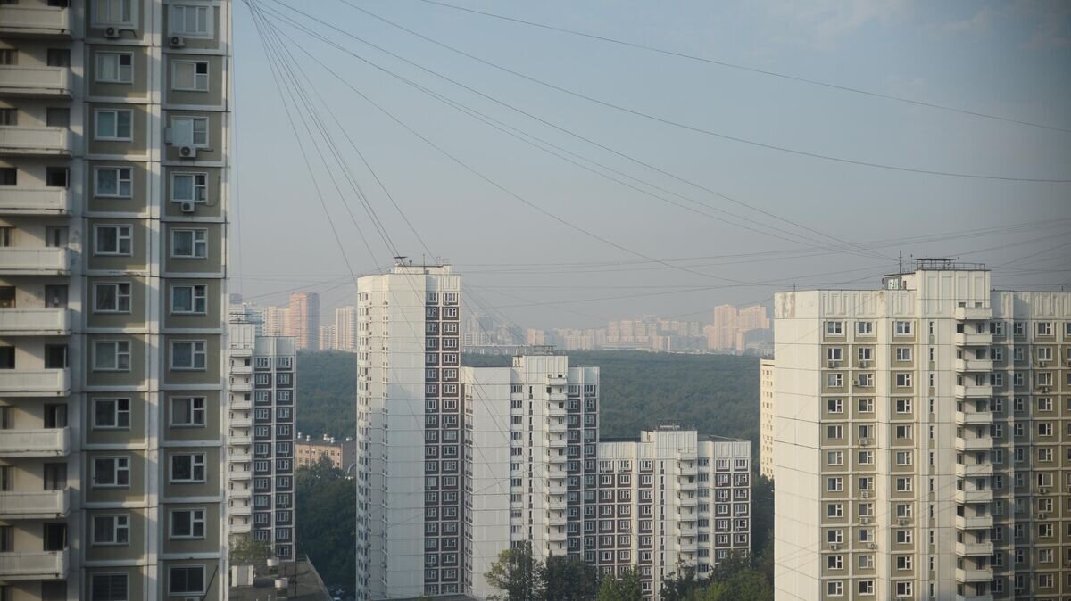    Смог в Москве из-за пожаров в Рязанской области© РИА Новости