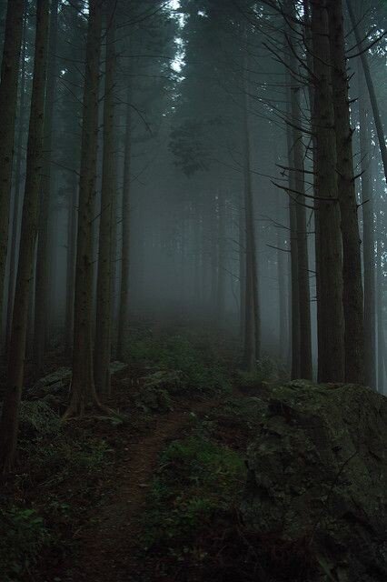 Картинка из интернета