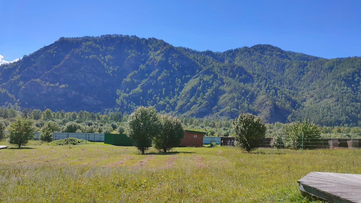 Село Узнезя горный Алтай