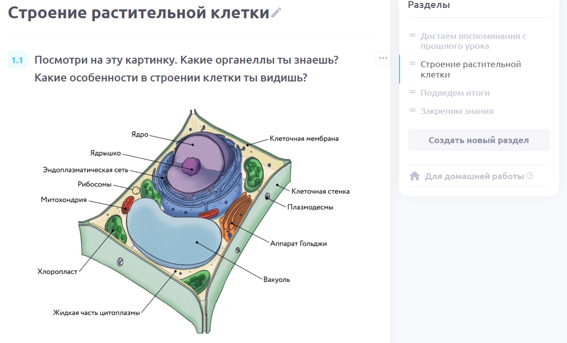 Так выглядит урок на платформе. Он построен так, чтобы связывать предыдущий материал с новым и показывать взаимосвязи в природе. Весь материал и домашние работы остаются с учеником, он всегда может к ним вернуться.
