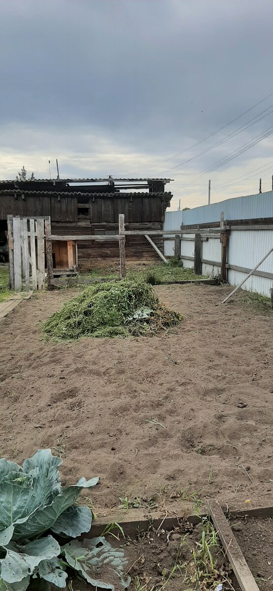 Вроде солнечно было.. 🌞) задний фон будем менять. Когда-нибудь ...))