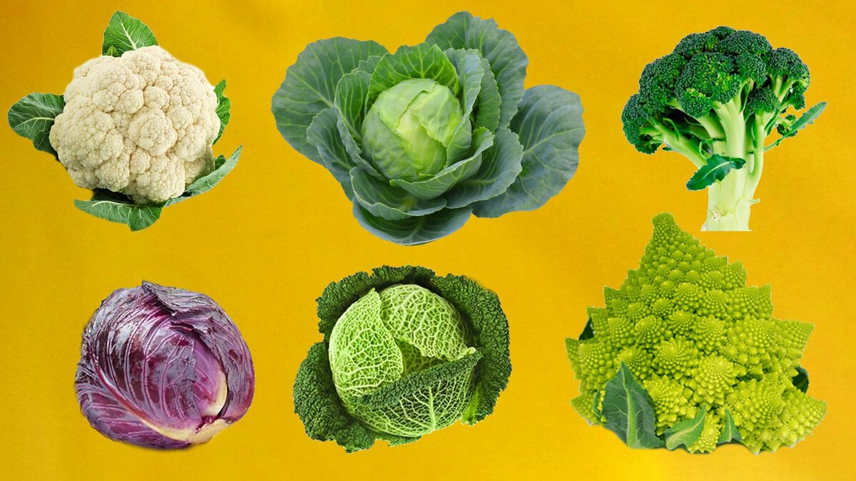 Тест по картинке