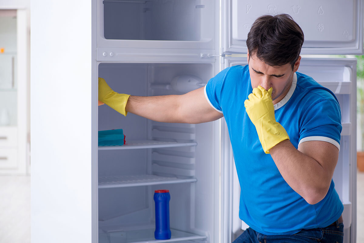 Как убрать запах в холодильнике?