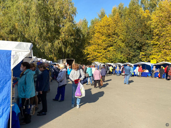     Фото: barnaul.org