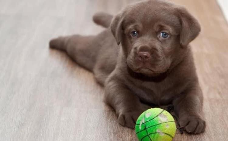 «Чарли» Александр Бессонов