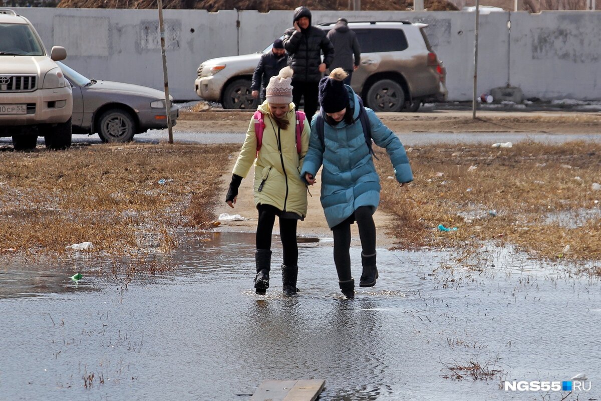     Новое пособие семьям с детьми должно заменить сразу несколько выплат    
 Фото: Иван Рейзвих/NGS55.RU