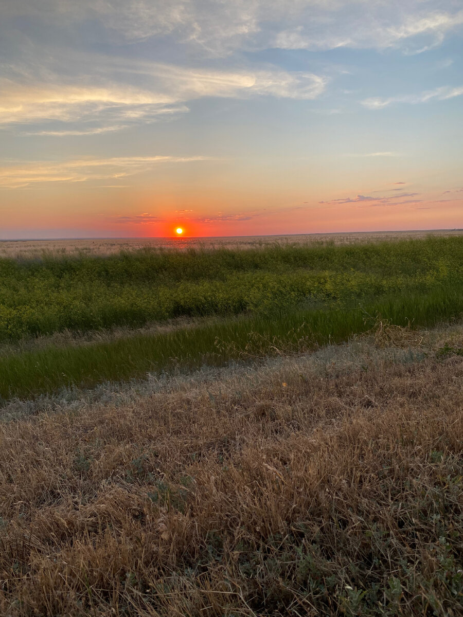 Бескрайние степи Калмыкии.