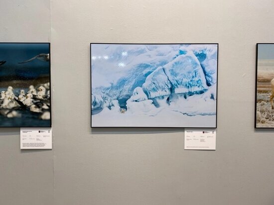     Фото Минприроды России