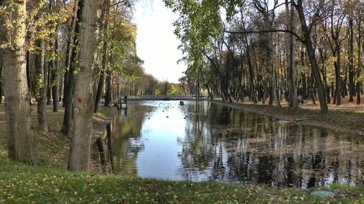 Прикоснуться к живой воде. Экскурсия по каскаду прудов в парке усадьбы Кривякино