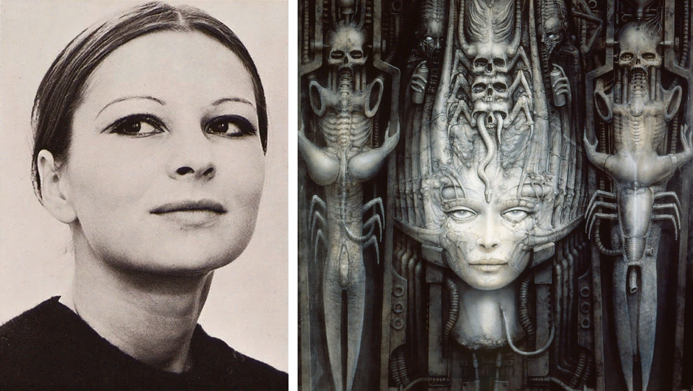 Добавьте описание