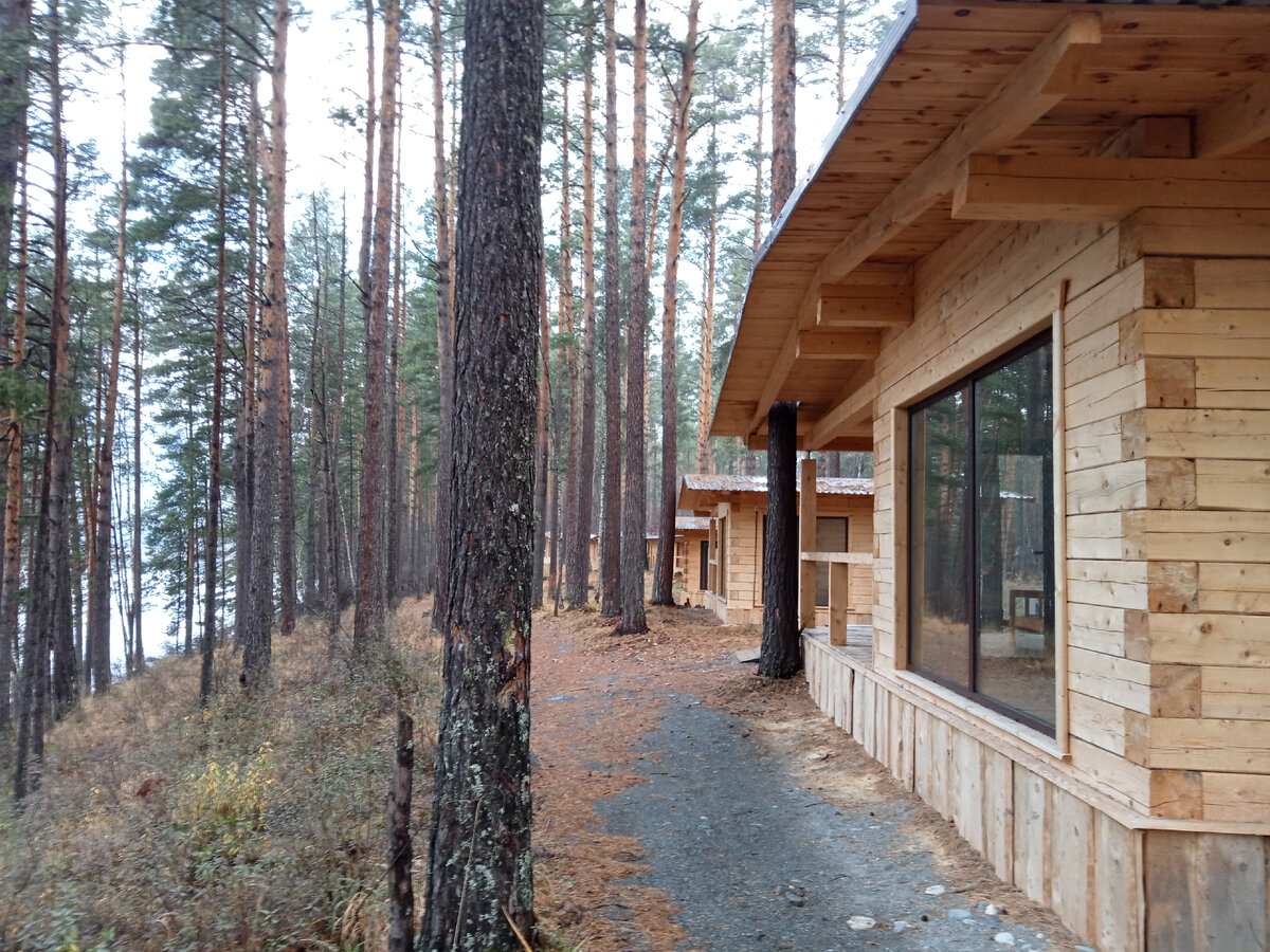 Здесь есть домики из кедра