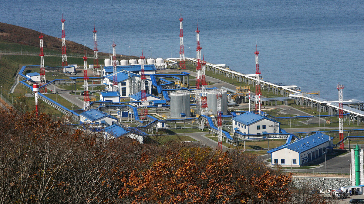    *Специализированный морской нефтеналивной порт "Козьмино" в Приморье© РИА Новости . Виталий Аньков