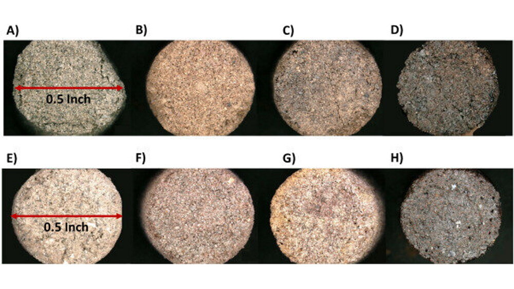   Фото: PeterWarren et al./Ceramics International, 2022
