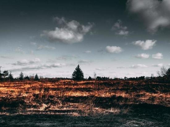     фото: pexels.com