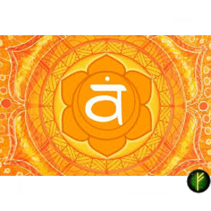 оккультные науки/Доминирующая чакра каждого знака Зодиака/Чакра Свадхистана 