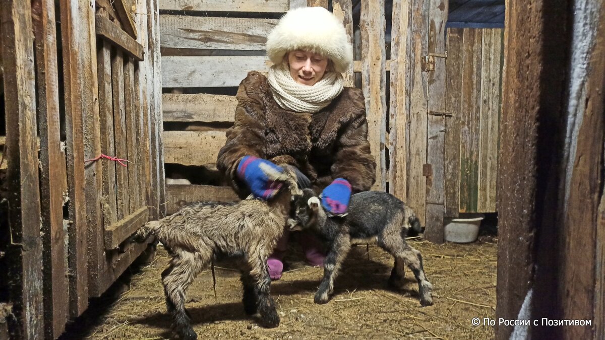 Молодая многодетная семья переехала из города в пустующую северную деревню  и занялась её возрождением | По России с Позитивом | Дзен