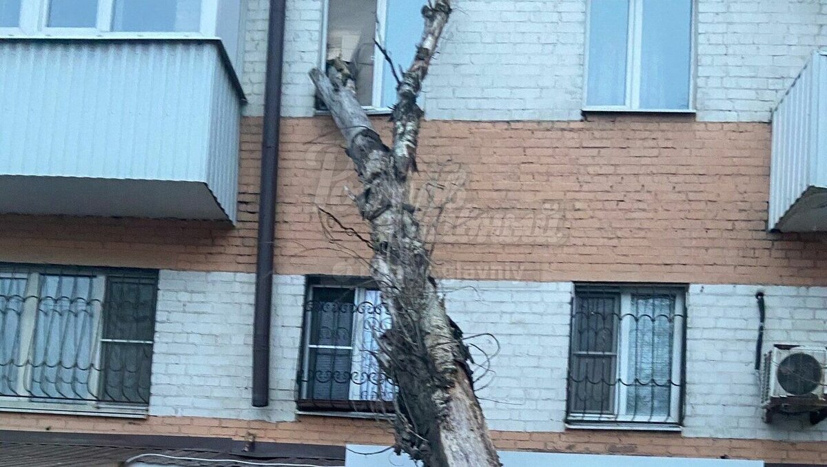     В Ростове-на-Дону на многоквартирный дом упало большое дерево из-за сильного ветра, сообщили горожане в соцсети «ВКонтакте».