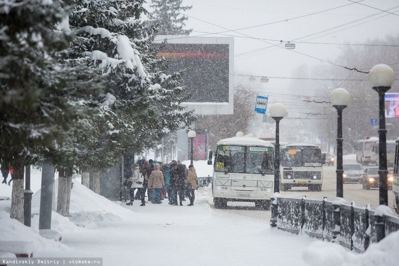   Фото: Дмитрий Кандинский / vtomske.ru