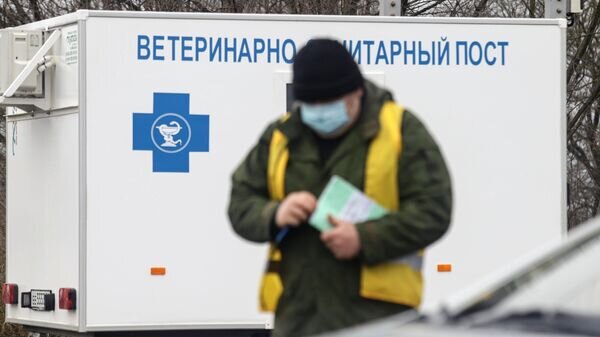    © Sputnik / Денис Абрамов