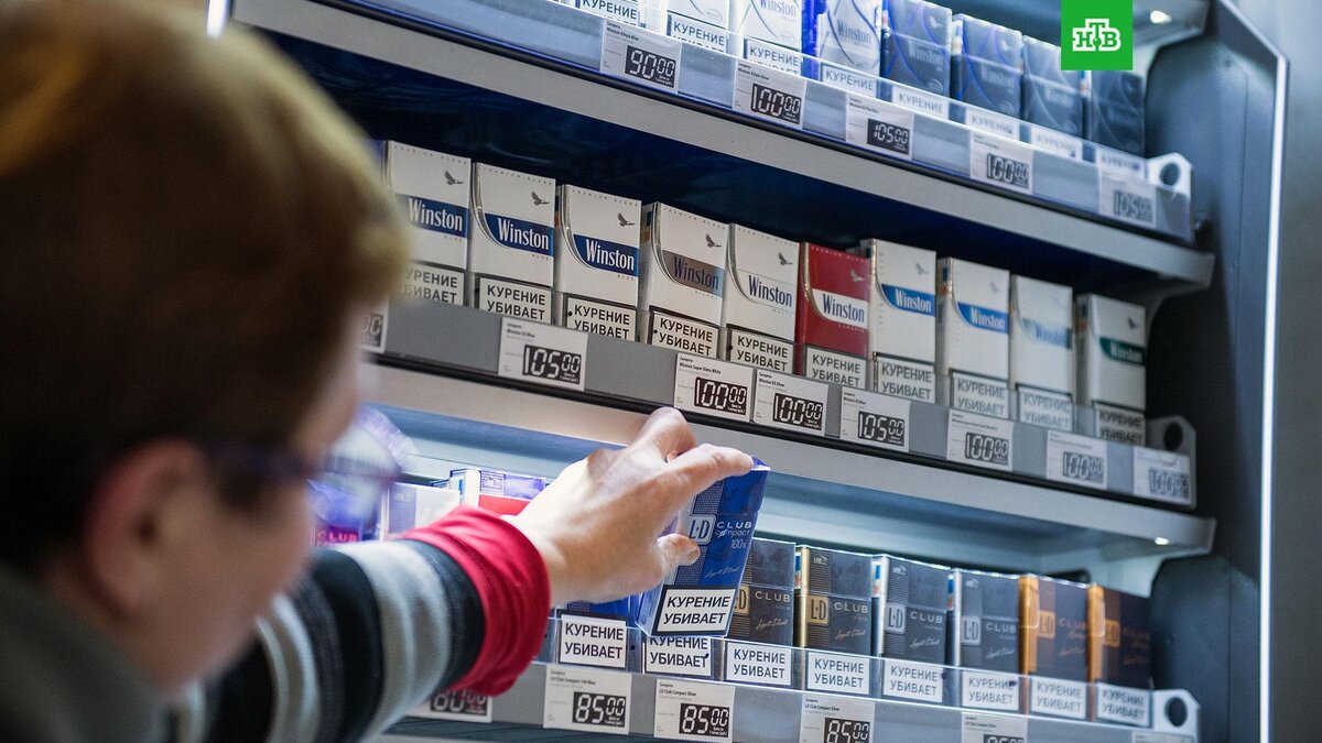    Фото: РИА Новости © 2023, Алексей Мальгавко