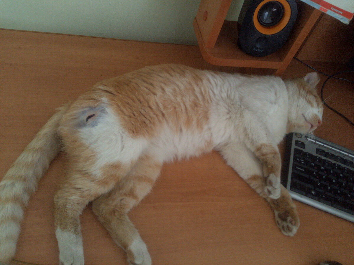 После операции