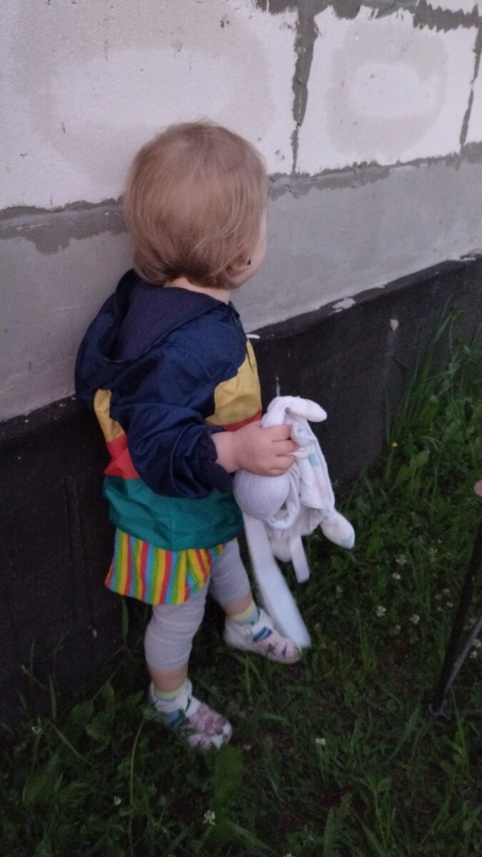 Алиса изучает загородную жизнь