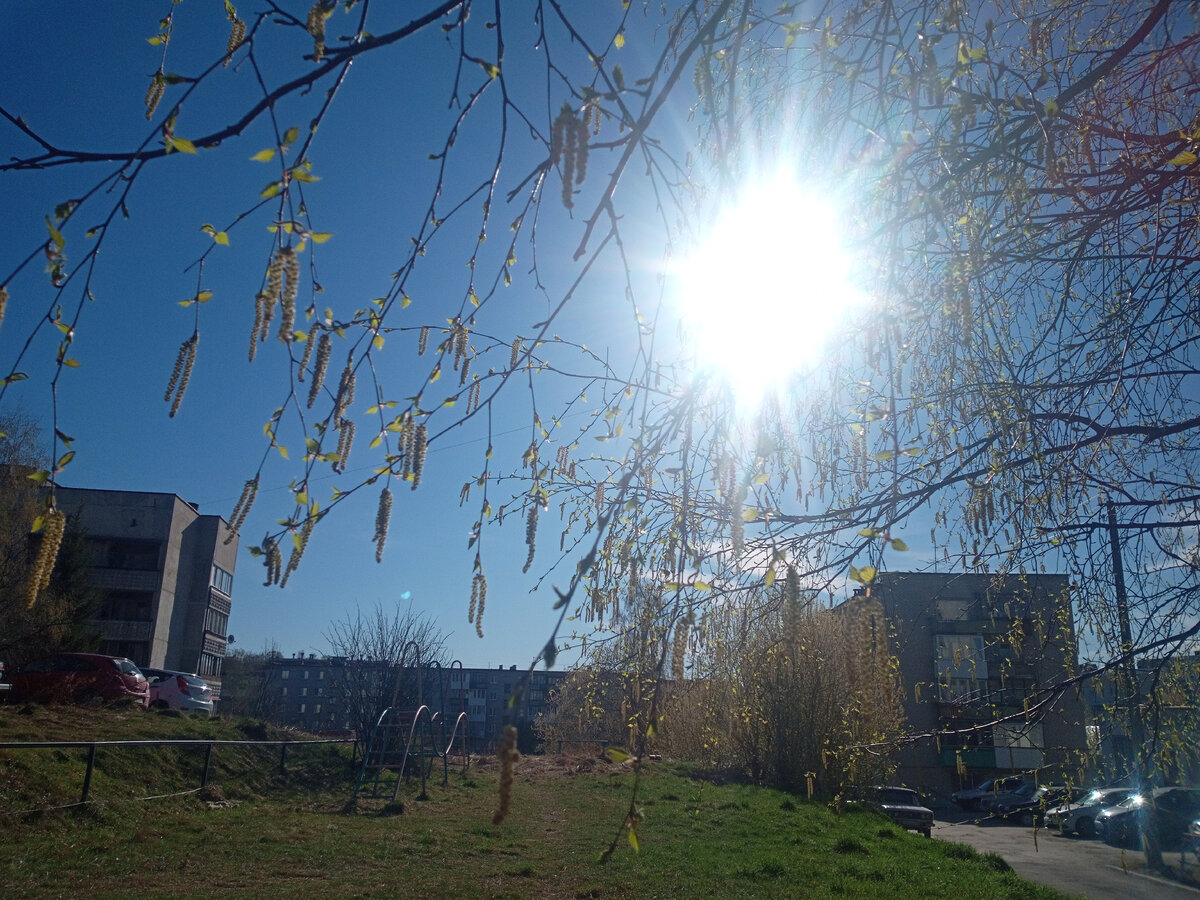 Фото автора