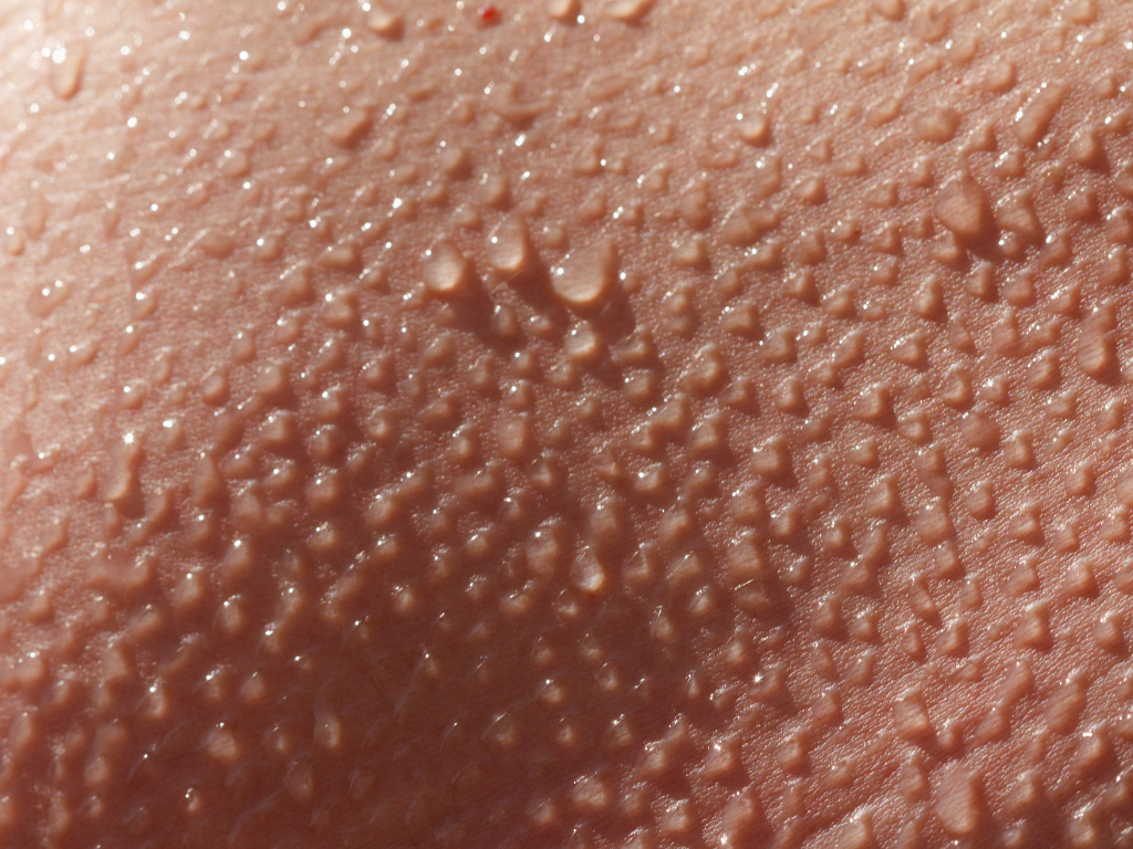 Кожа – самый большой человеческий орган