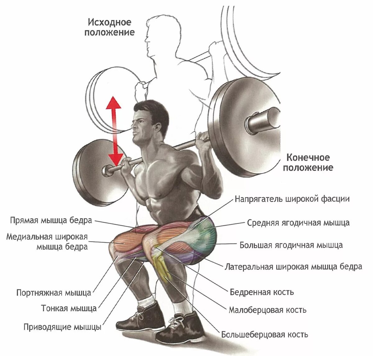 Как правильно приседать. Сделать идеальную попу без спортзала | Fitness  Natalinka | Дзен