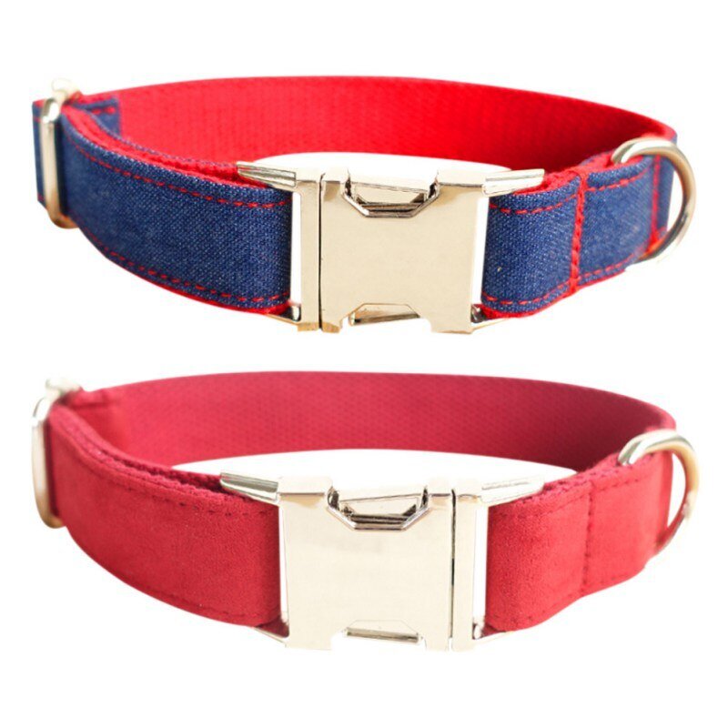 Модные ошейники для собак