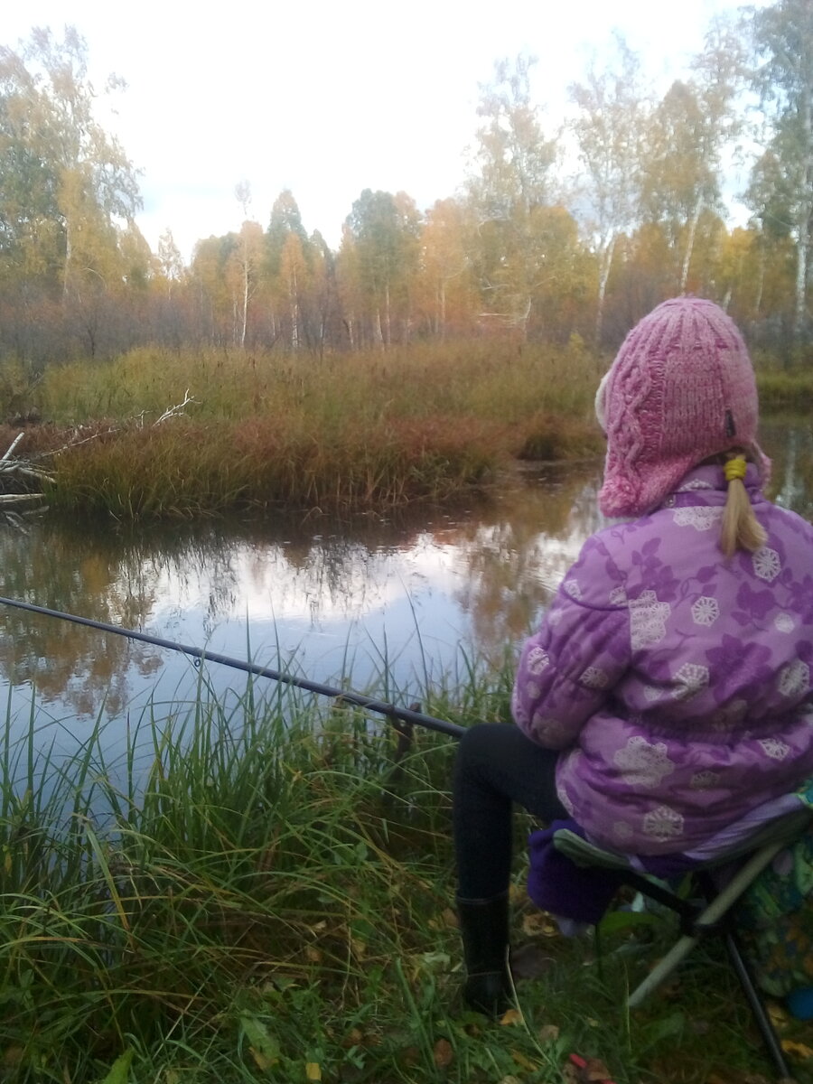 В нашем доме живут семейные ценности. | Жизнь в Сибири | Дзен